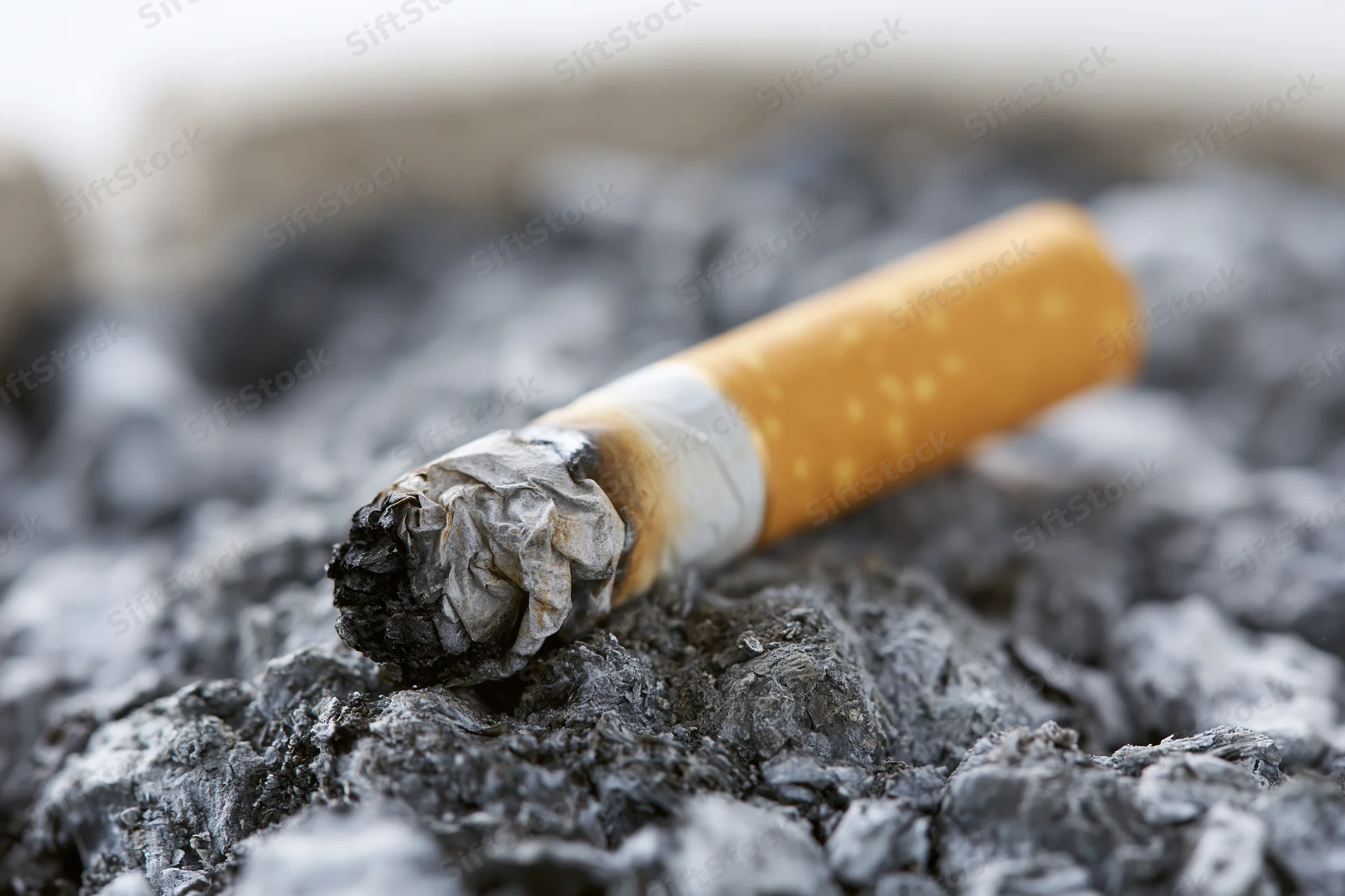 A stubbed-out cigarette butt resting in a thick bed of gray ash