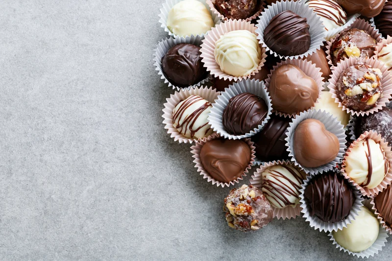 Assorted chocolate truffles and pralines in pastel paper cups arranged on gray surface with copyspace