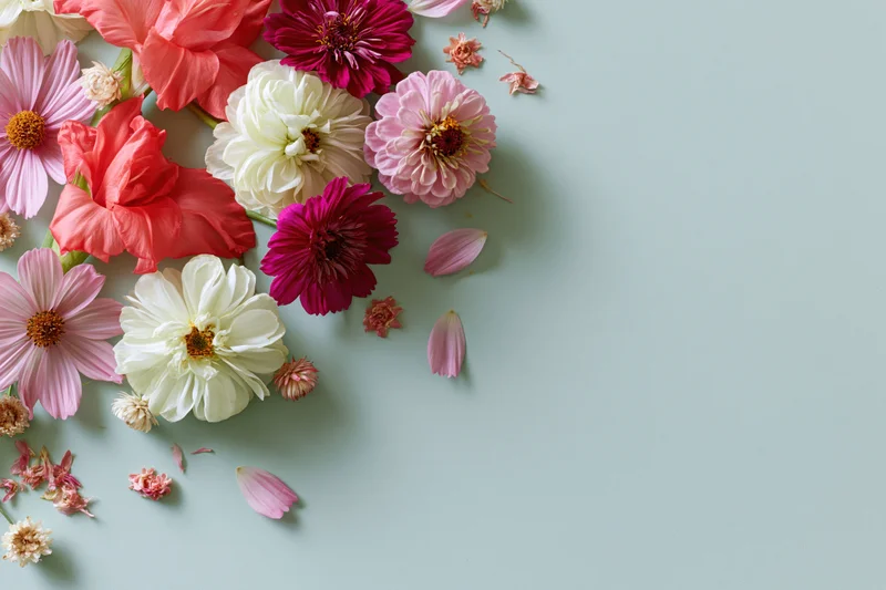 Assorted fresh flowers arranged loosely in the upper-left corner on a light blue surface