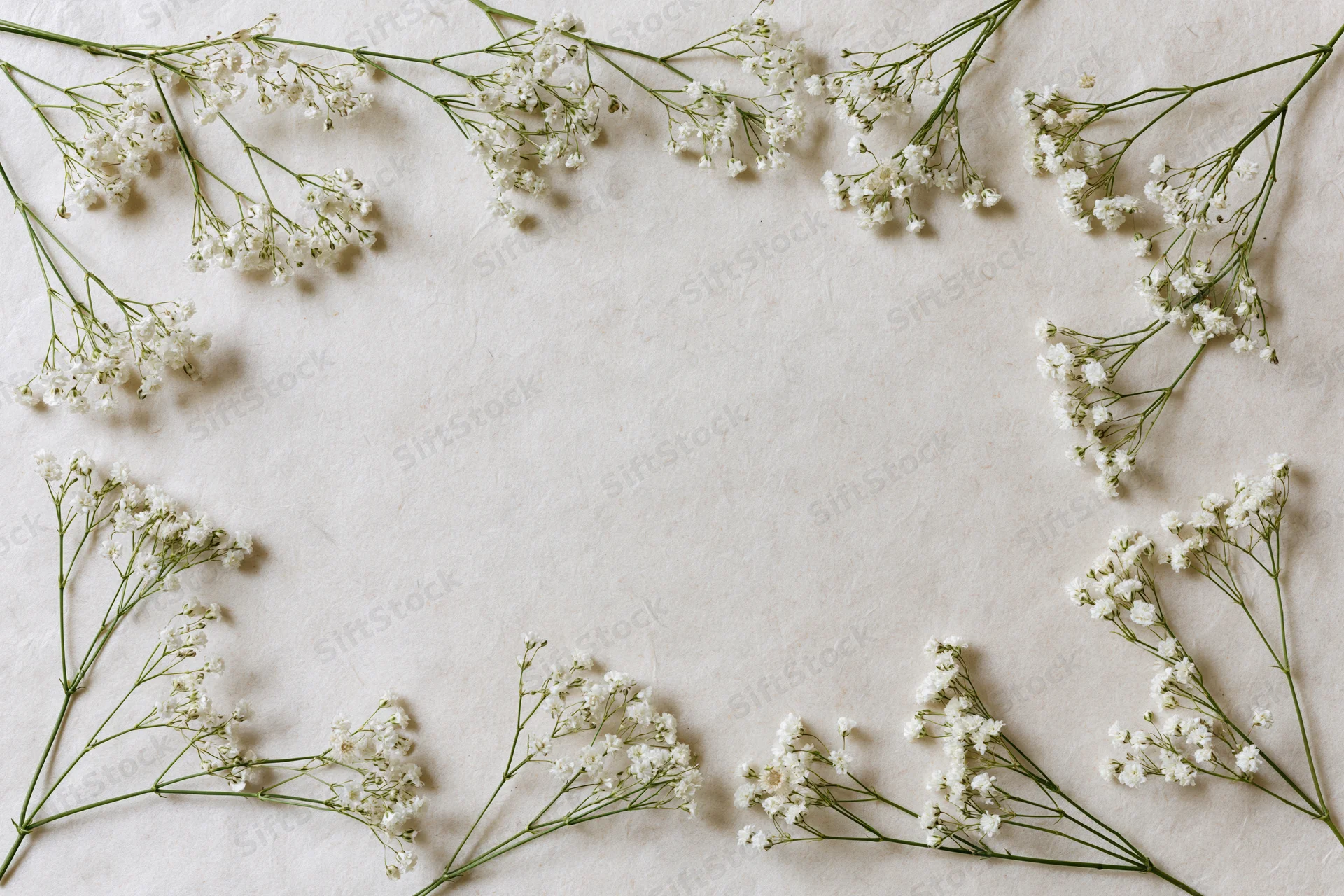 Babysbreath sprigs arranged as a loose border frame on cream textured surface