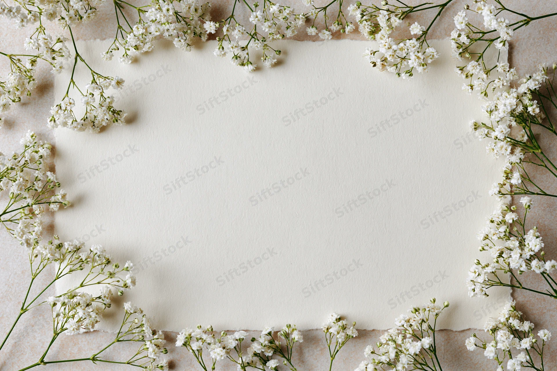 Babysbreath sprigs arranged as a loose floral border around a cream paper sheet with copyspace