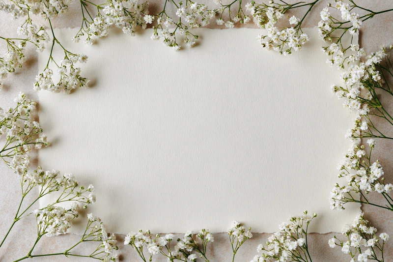 Babysbreath sprigs arranged as a loose floral border around a cream paper sheet with copyspace