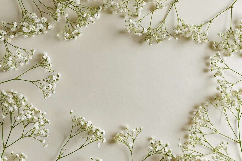 Babysbreath sprigs arranged as a loose border frame on cream surface with copyspace