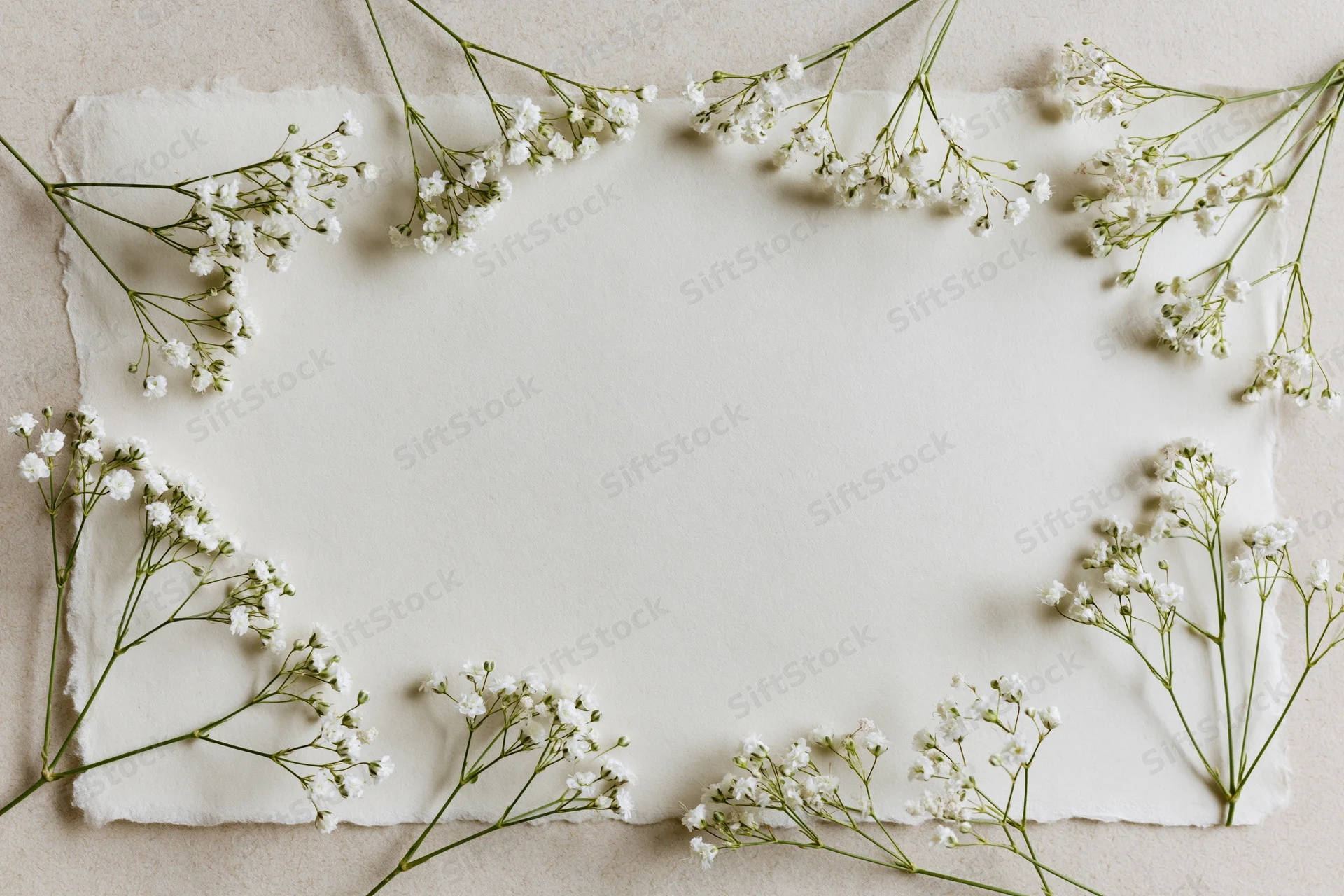 Babysbreath sprigs arranged as loose border around cream paper on beige surface