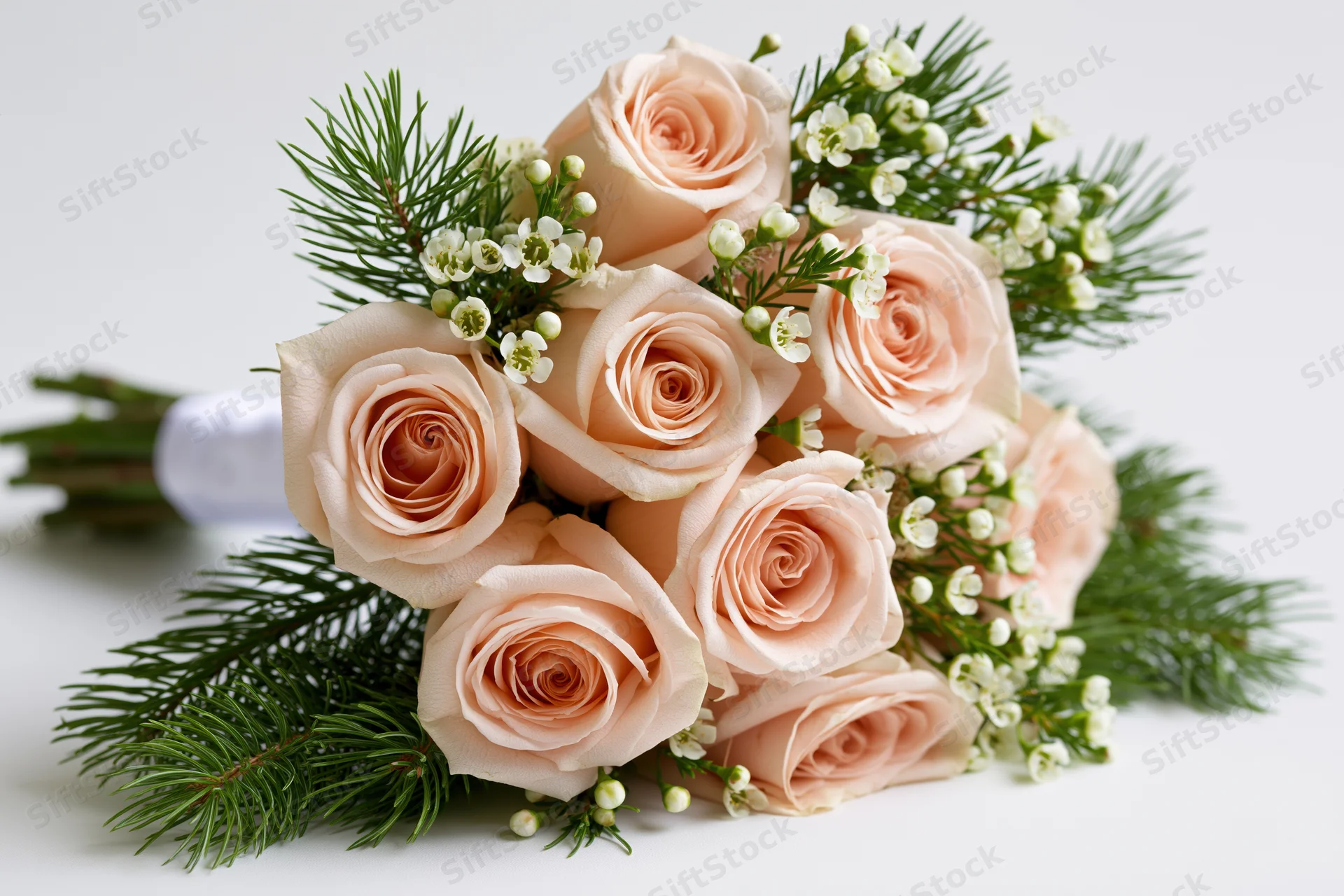 Bridal bouquet of pale blush roses and small white wax flowers with greenery on white background