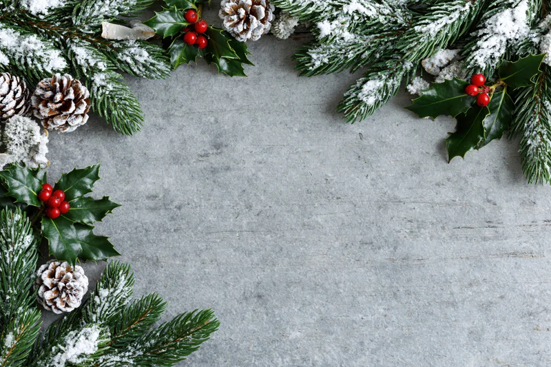 Snow-dusted pine branches and holly berries arranged in a border frame on a gray textured surface