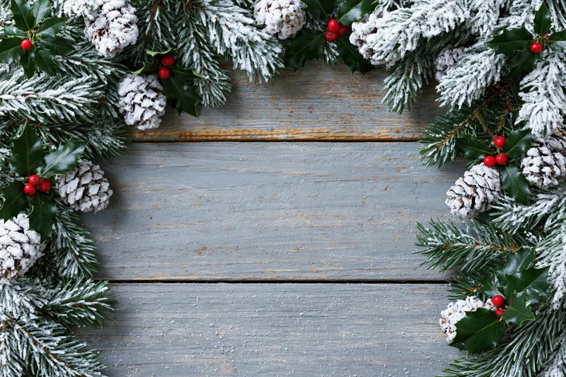 Snow-dusted pine branches and holly berries arranged as a border frame on a rustic wooden table