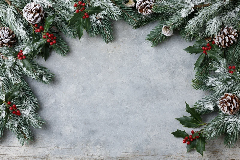 Snow-dusted pine branches and holly berries arranged as a border frame on a concrete surface with copyspace