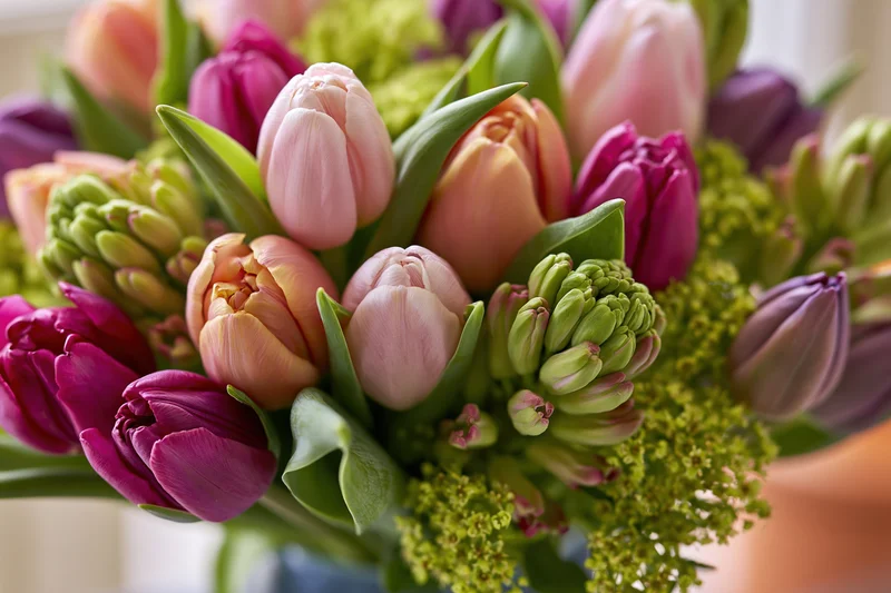 Close-up of a mixed spring bouquet with pink, purple, and peach tulips and green hyacinth buds in a vase