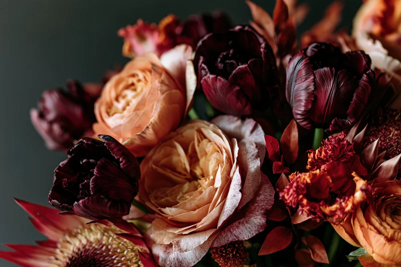 Close-up of a richly layered autumn floral arrangement with burgundy tulips and peach roses against a dark background