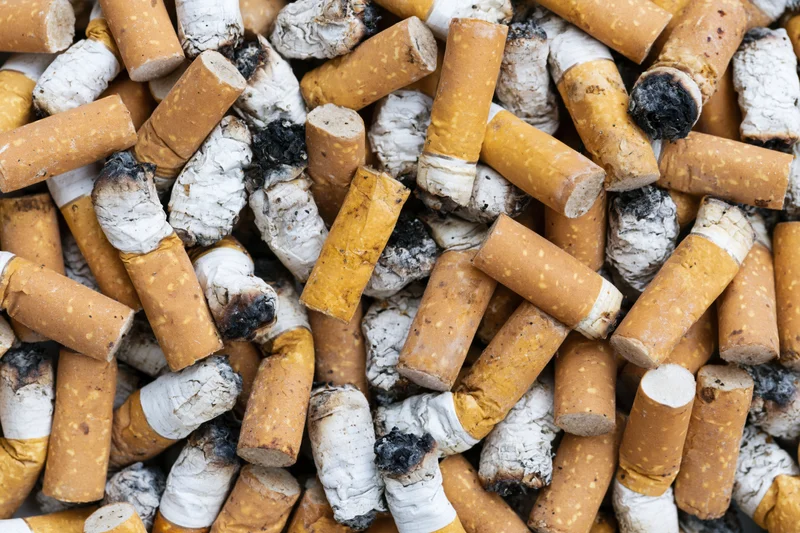 Close-up of used cigarette butts piled together showing ash and filters