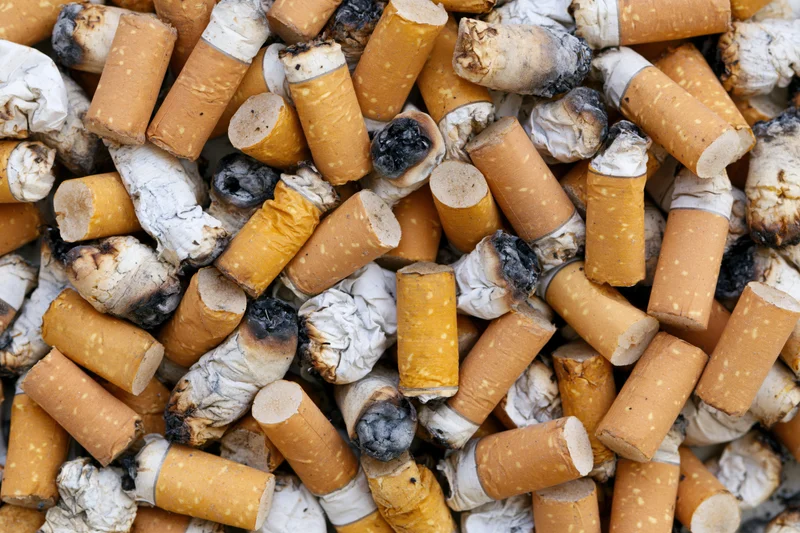 Dozens of used cigarette butts piled together filling the frame