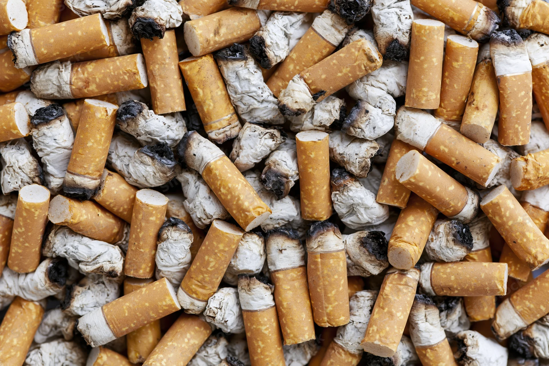 Close-up of used cigarette butts piled together filling the frame