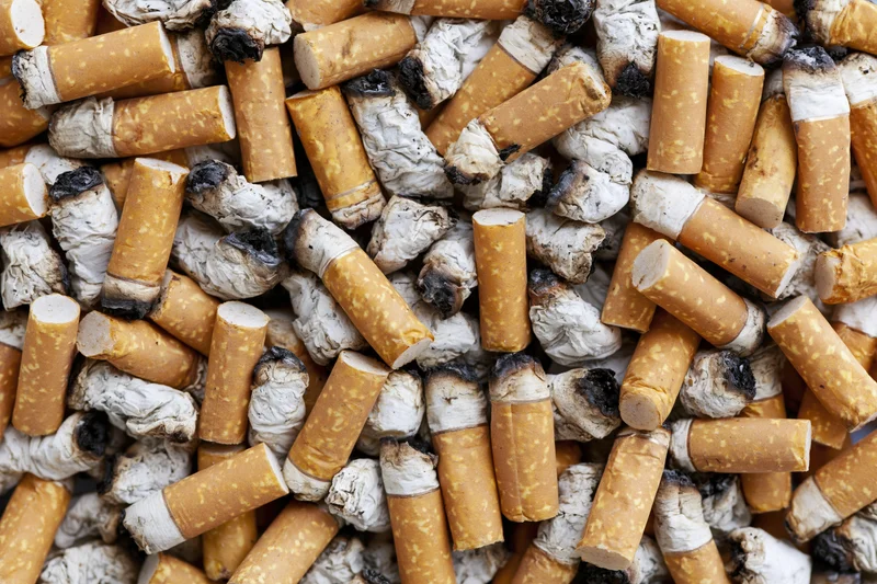 Close-up of used cigarette butts piled together filling the frame