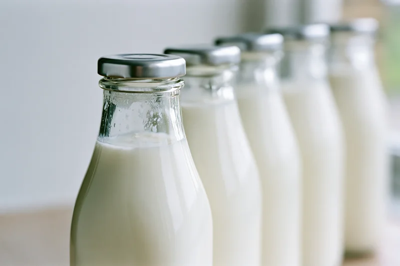Row of glass milk bottles filled with fresh whole milk on a kitchen surface