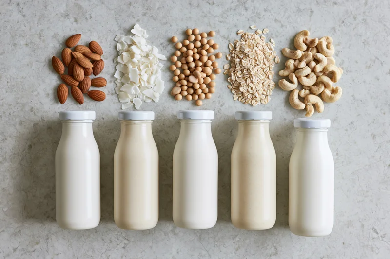 Five glass bottles of plant-based milk arranged in a row with their ingredients above on a gray countertop