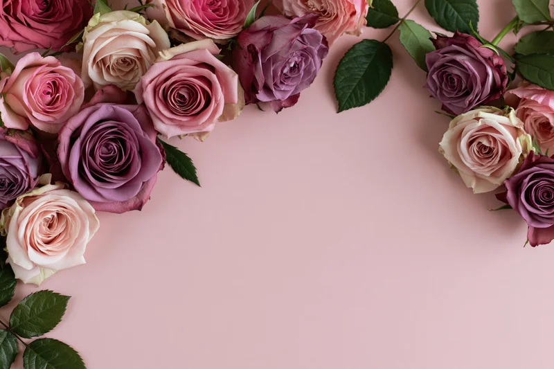 Flat lay of pink mauve and dusty purple roses with green leaves arranged in a frame on a soft pink background