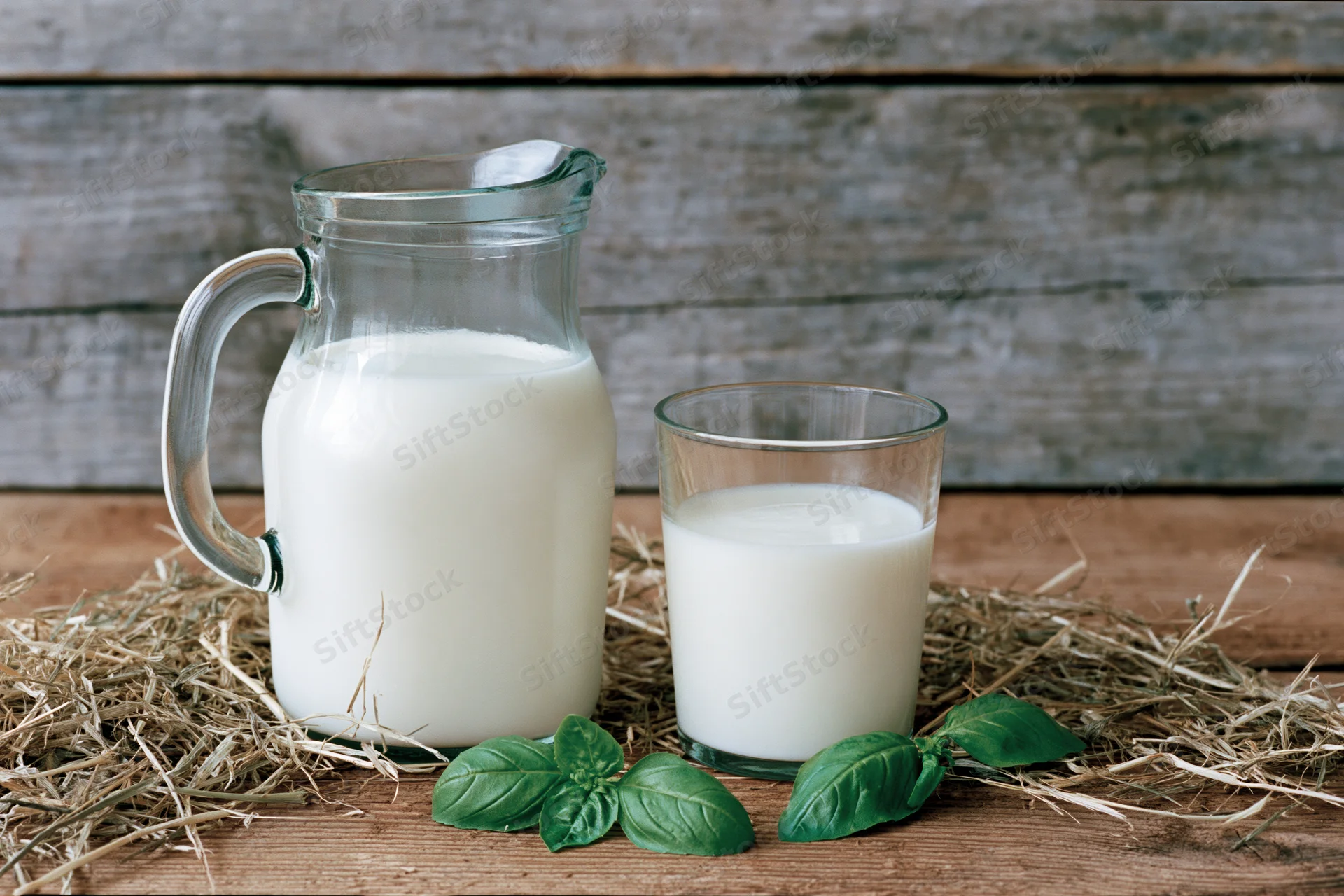Glass pitcher and drinking glass filled with fresh white milk on hay atop wooden table with basil leaves