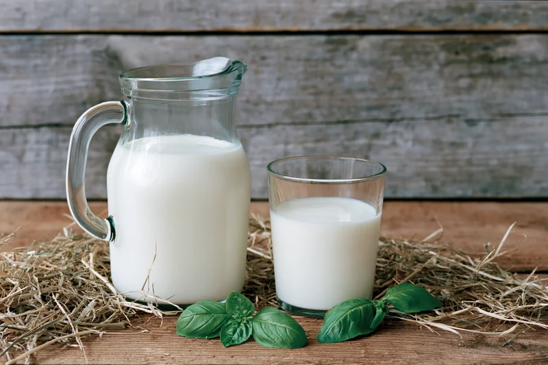 Glass pitcher and drinking glass filled with fresh white milk on hay atop wooden table with basil leaves