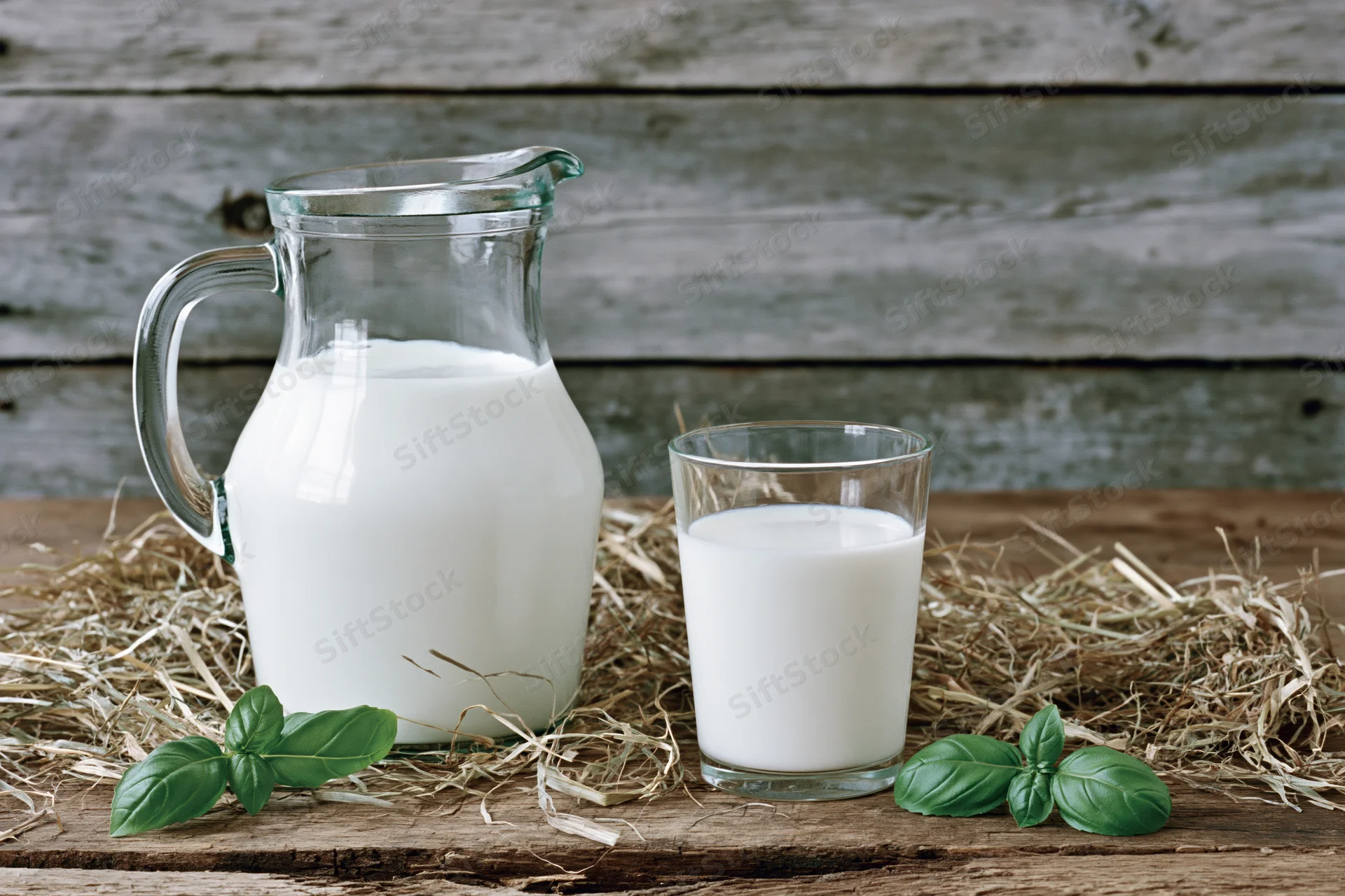 Glass pitcher and drinking glass filled with fresh white milk on hay atop a wooden table with basil leaves