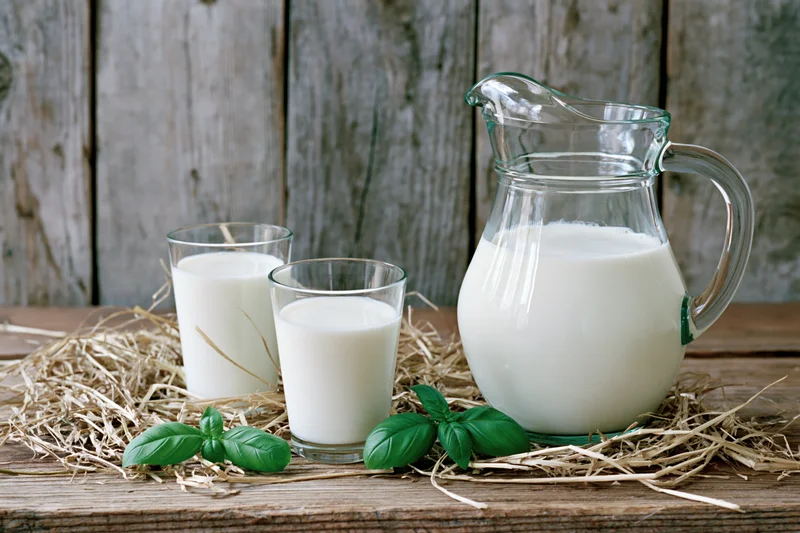 Glass pitcher and two glasses filled with fresh white milk arranged on hay atop a wooden table with basil leaves
