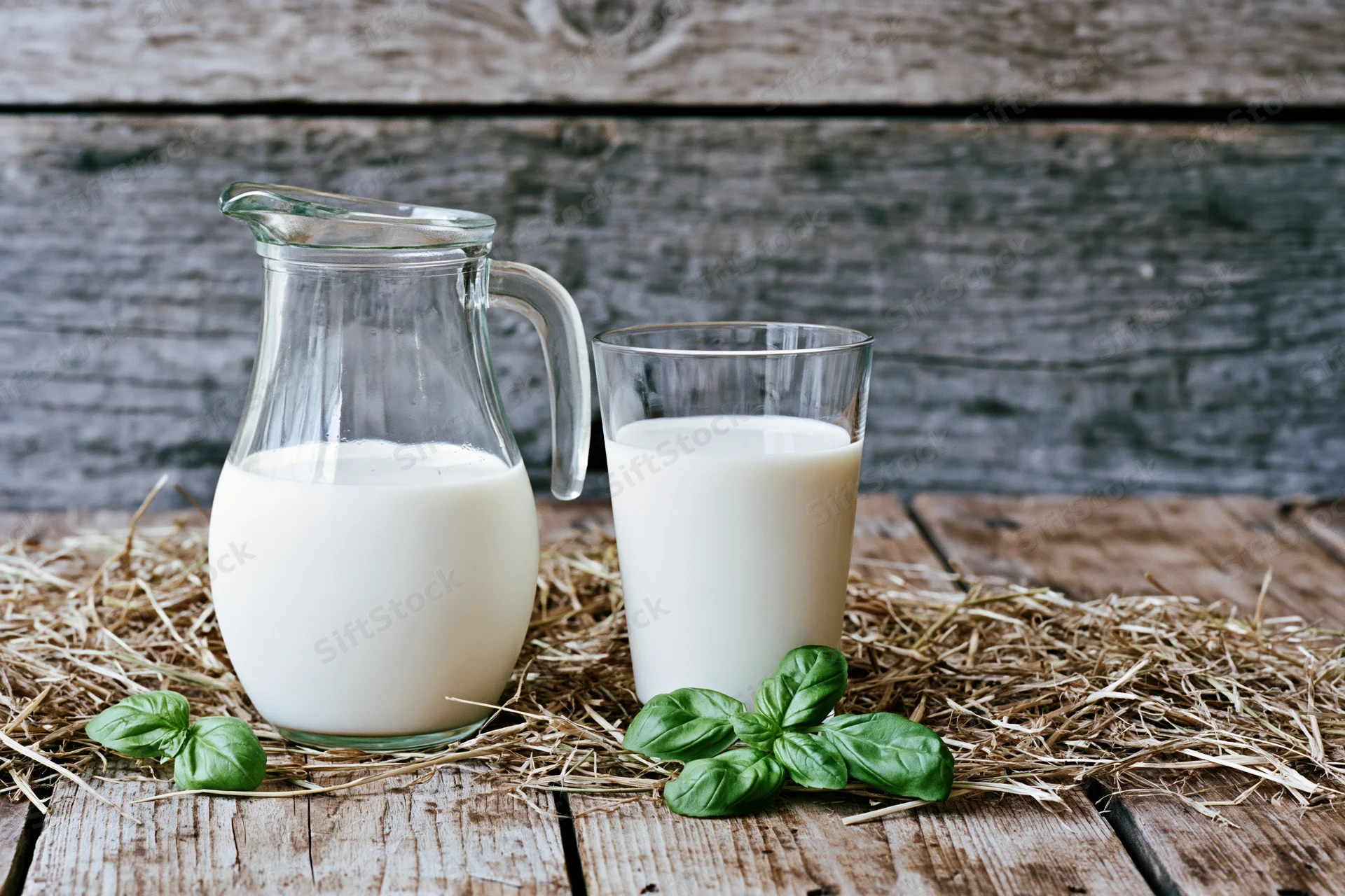 Glass pitcher and drinking glass filled with milk on hay atop wooden table with basil leaves