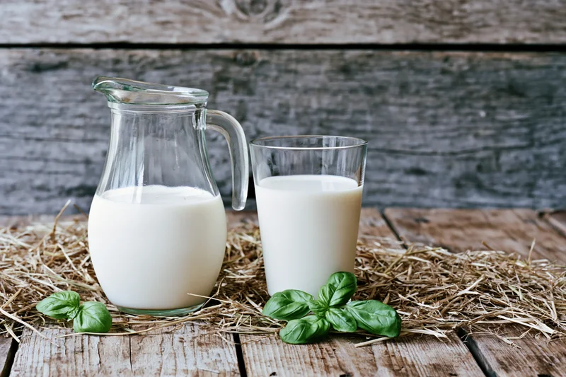 Glass pitcher and drinking glass filled with milk on hay atop wooden table with basil leaves