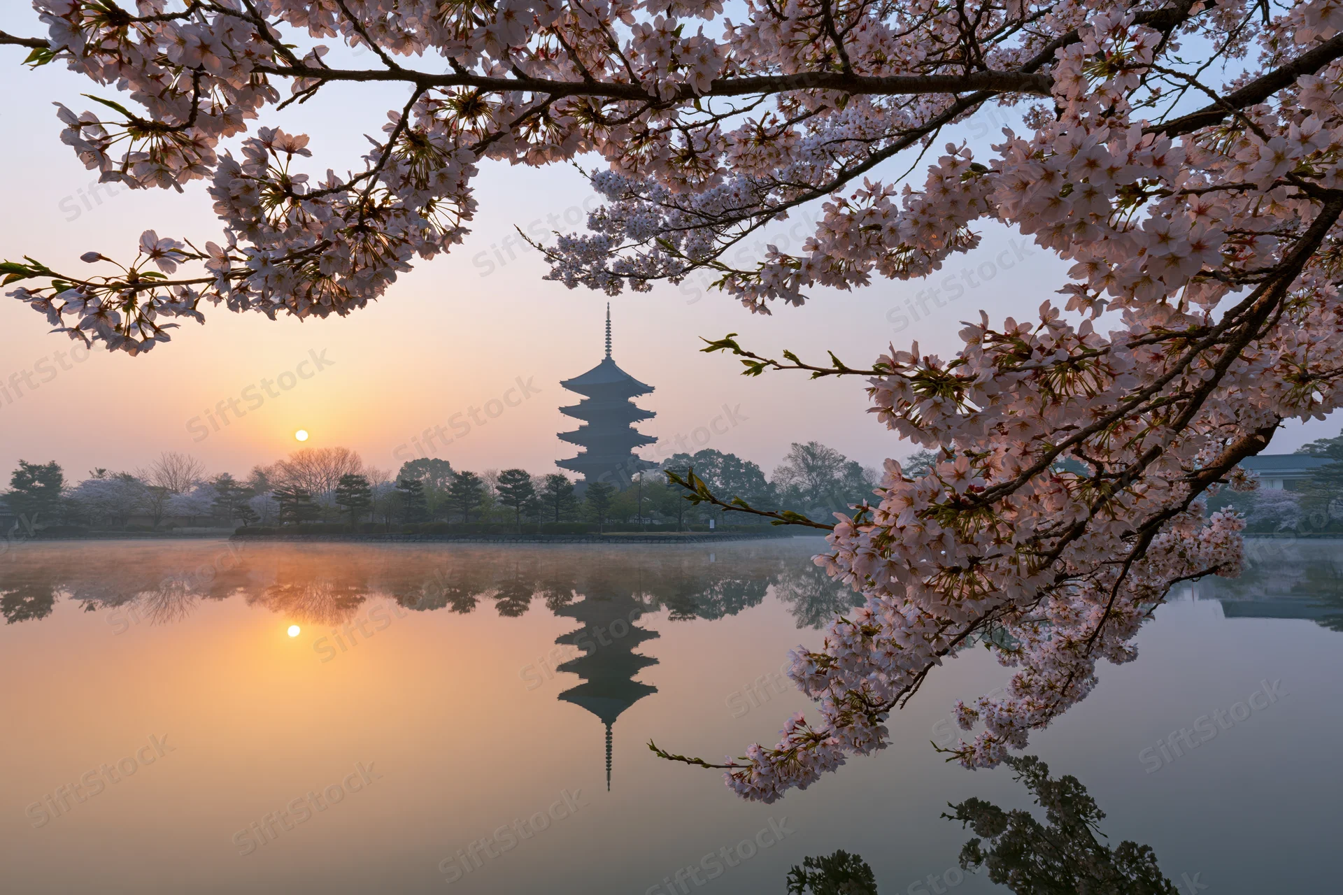 Cherry blossoms framing a five-story pagoda silhouetted at sunrise over a calm lake with reflection