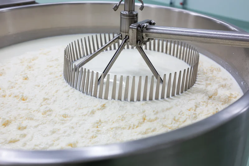 Stainless steel cheese vat with rotating agitator mixing curd and milk during cheese production