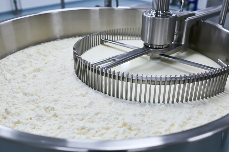 Rotating agitator churning curd in a large stainless steel cheese vat