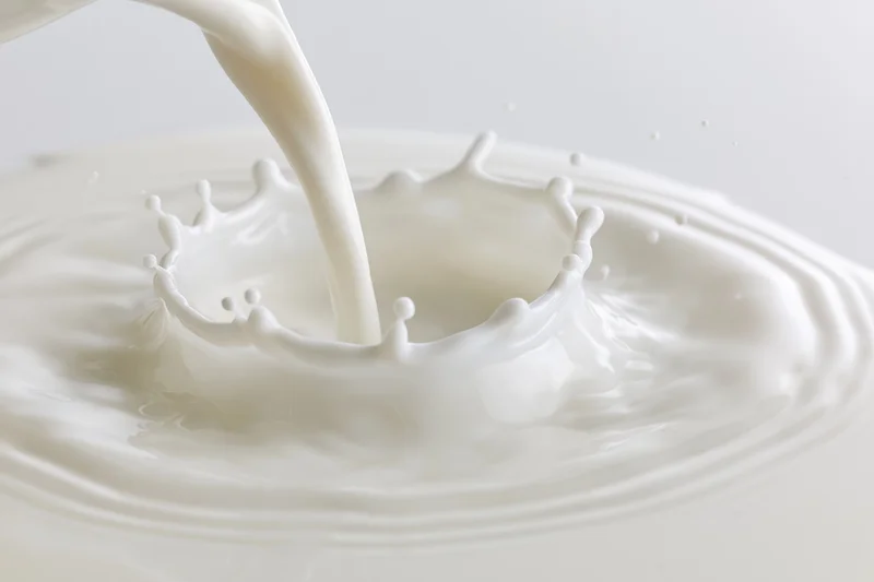 Milk being poured in a steady stream into a shallow pool of milk
