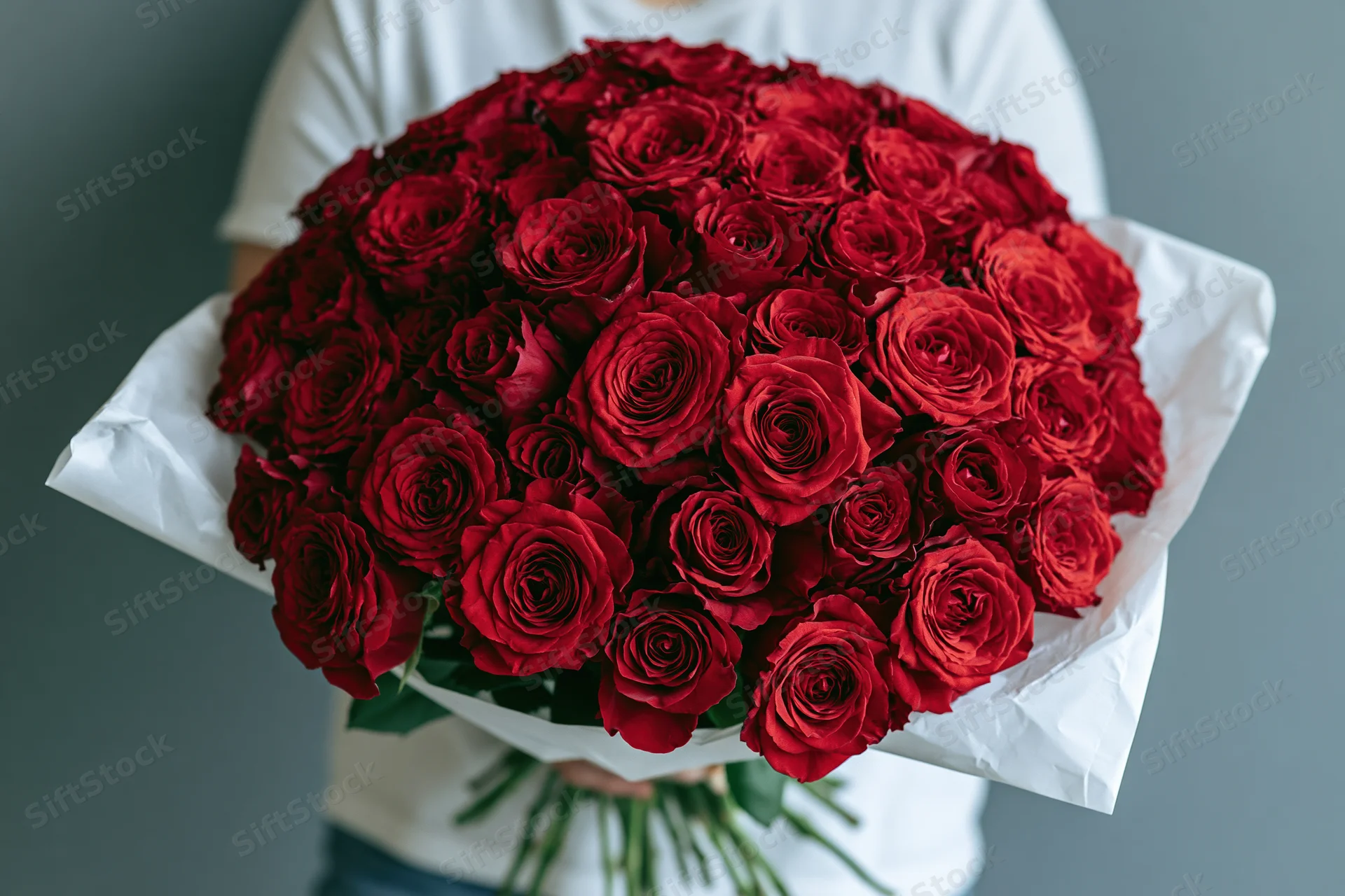 Woman holding large bouquet of deep red roses wrapped in white paper