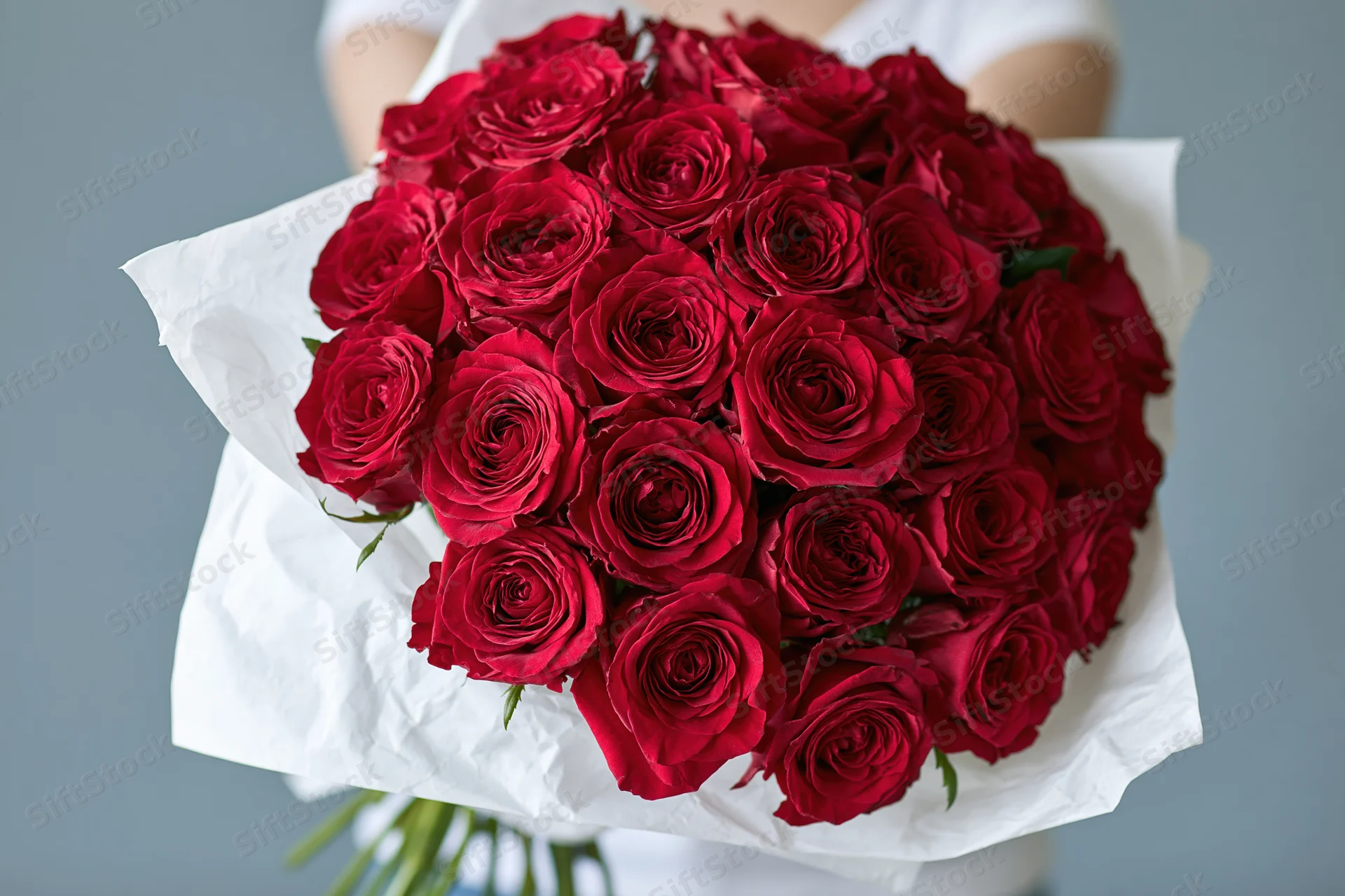 Woman holding large bouquet of deep red roses wrapped in white paper