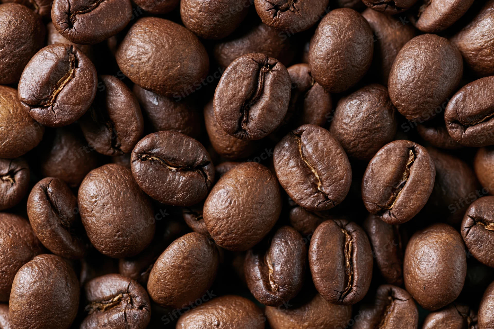 Roasted coffee beans filling the frame in a closeup view