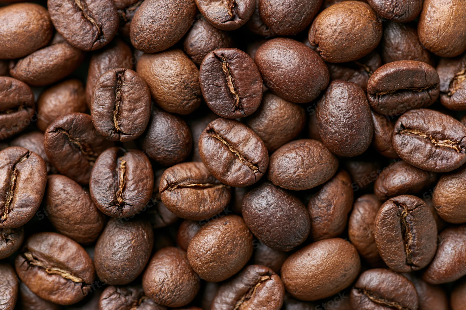 Roasted coffee beans filling the frame in a closeup view