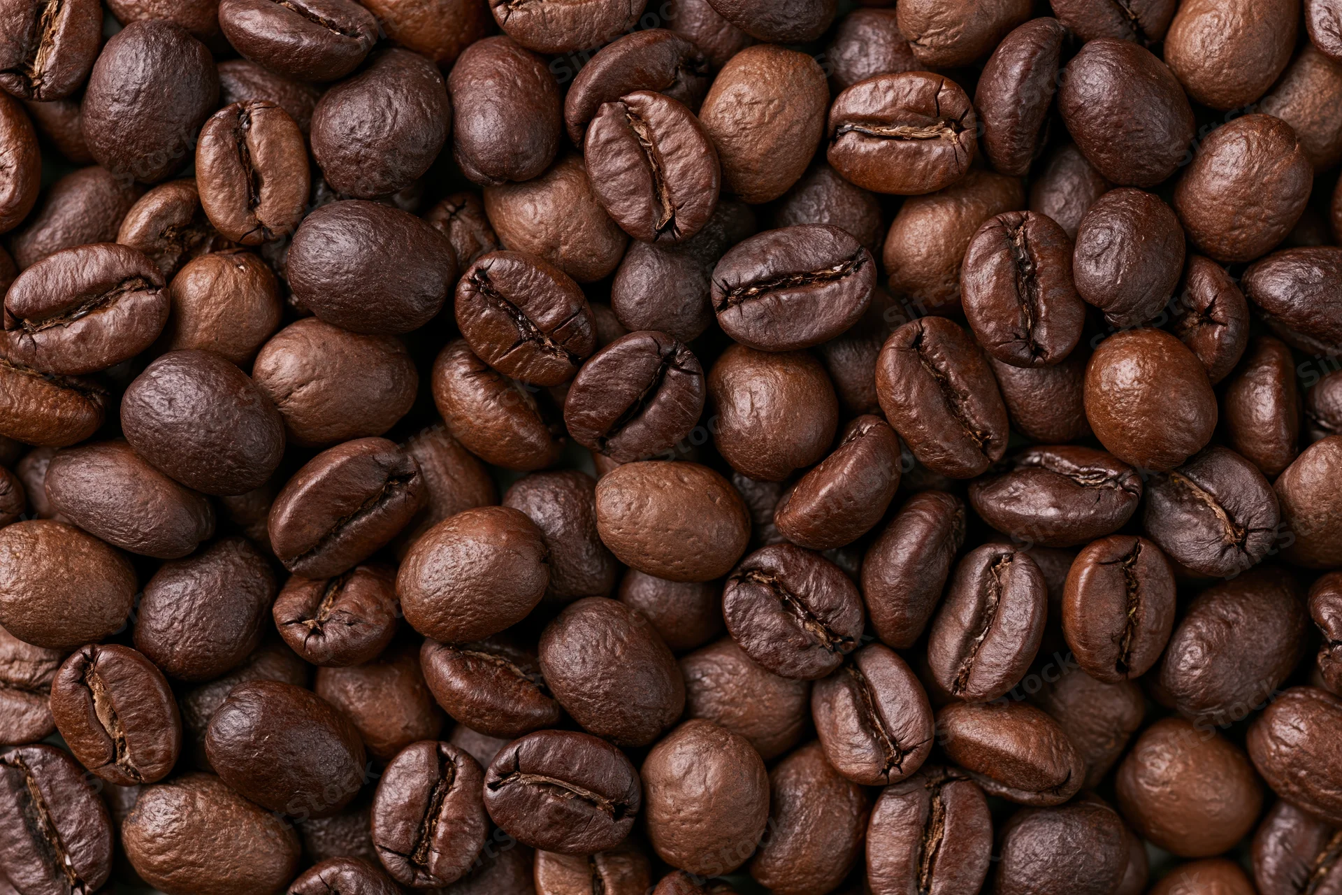 Roasted coffee beans filling the frame in overhead closeup view
