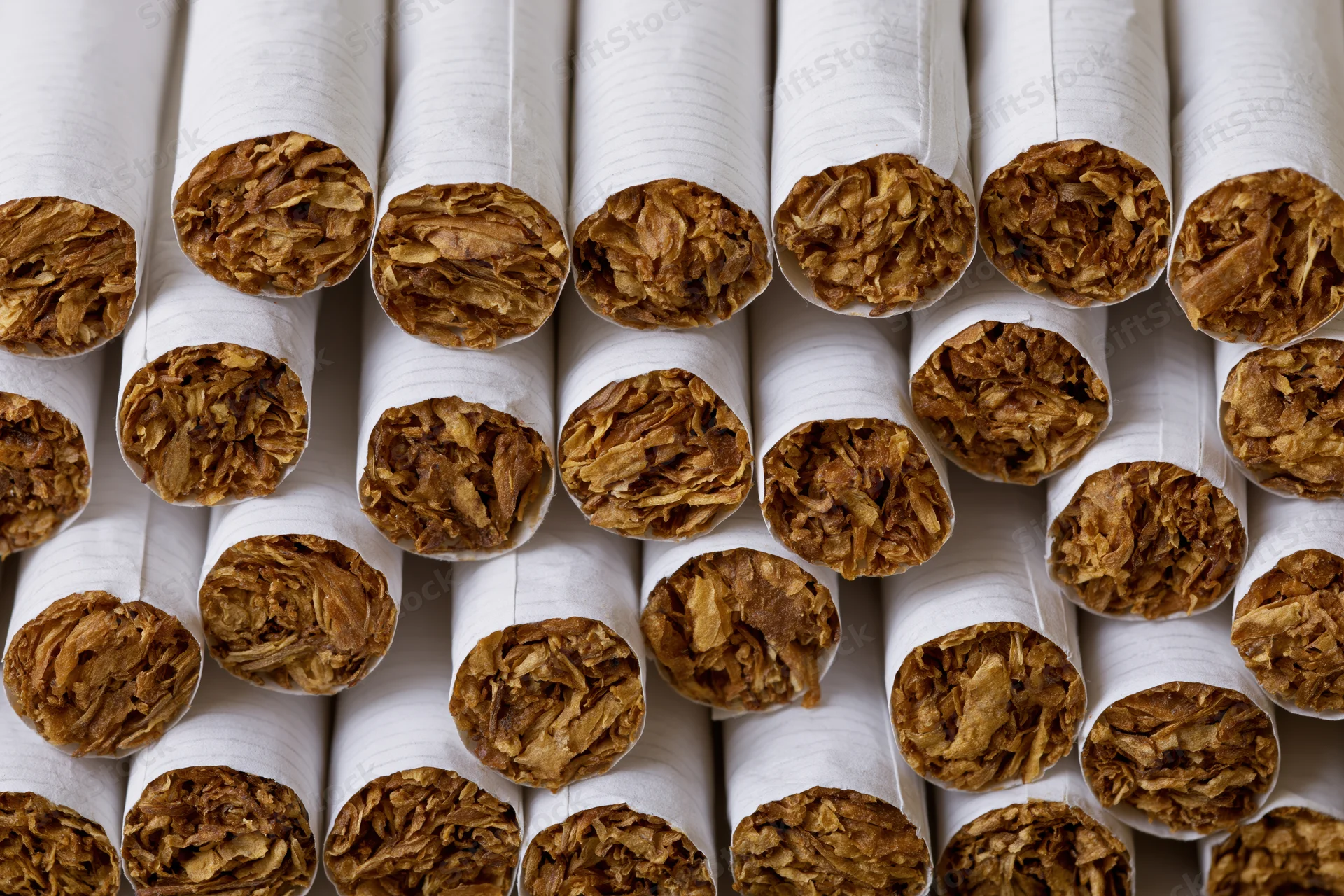 Rows of unlit cigarettes viewed from the open tobacco end showing brown shredded tobacco filling in white paper wrappers