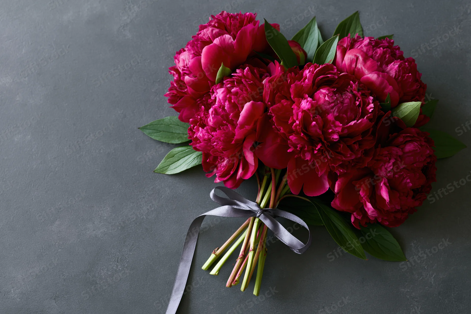 Small bouquet of deep crimson peonies with green stems and leaves tied with gray ribbon on gray surface