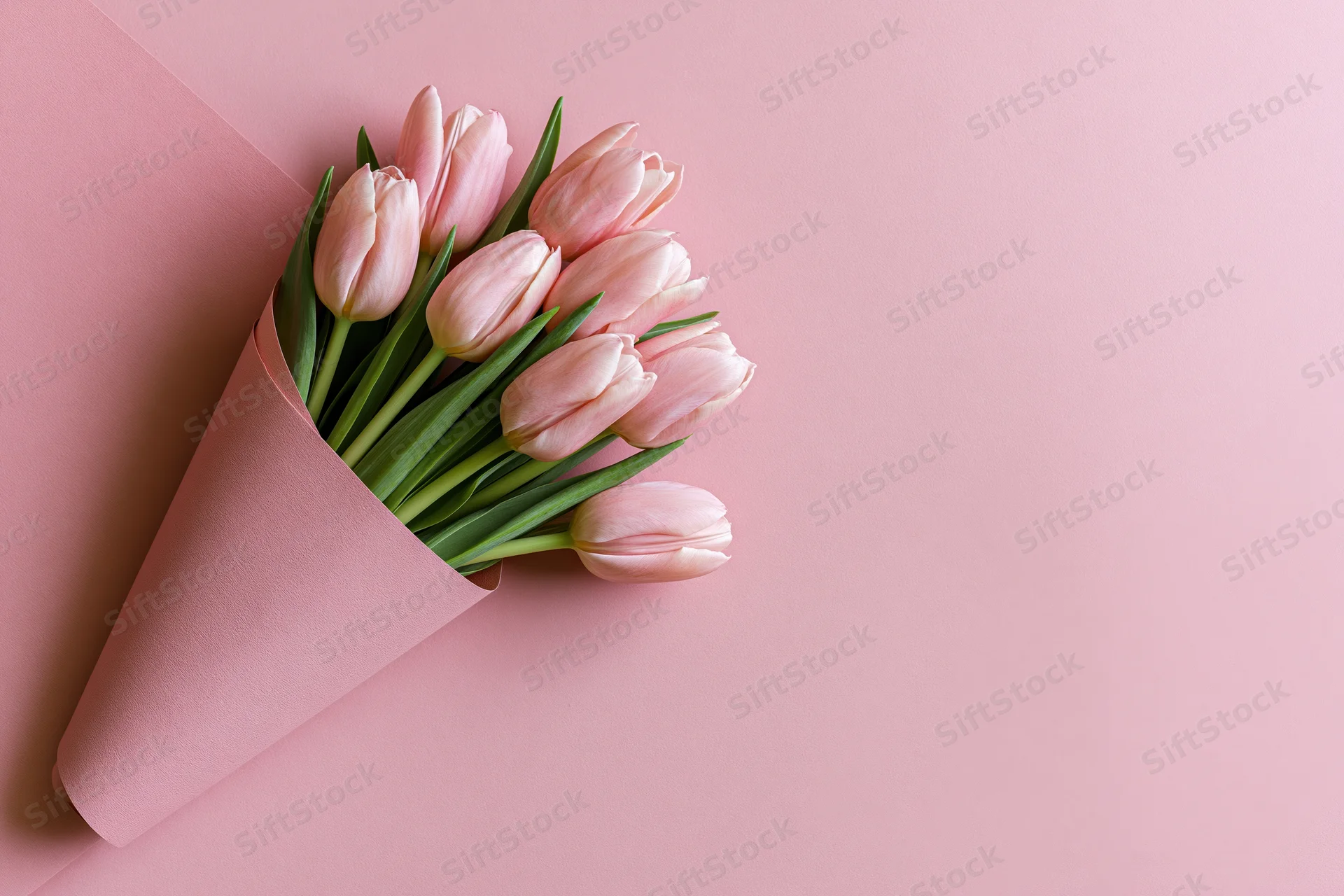 Small bouquet of pale pink tulips with green stems wrapped in pink paper on a pink surface