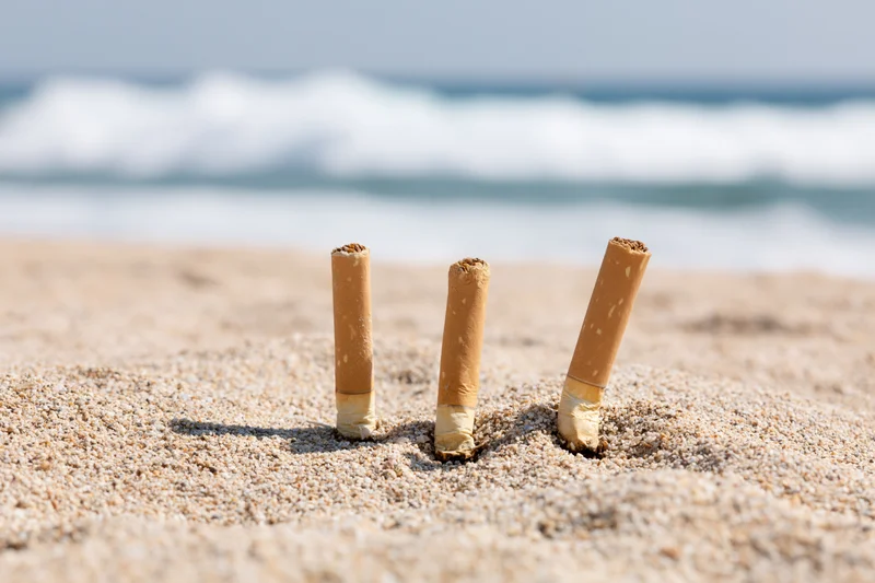Three used cigarette butts stuck upright in dry beach sand with ocean waves in background