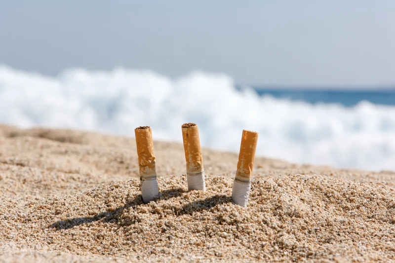 Three cigarette butts stuck upright in dry beach sand with ocean waves in background