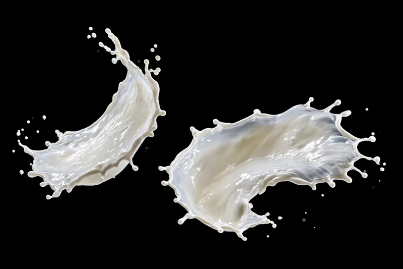 Two frozen milk splashes captured midair against a pure black background