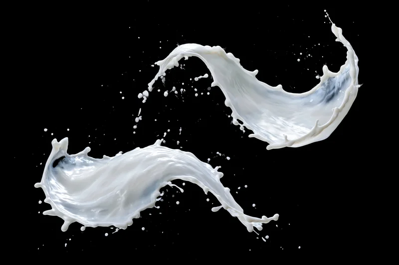 Two frozen milk splashes captured midair against a pure black background