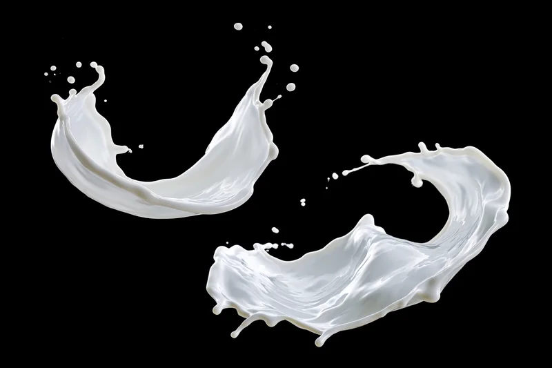 Two frozen milk splashes midair against black background