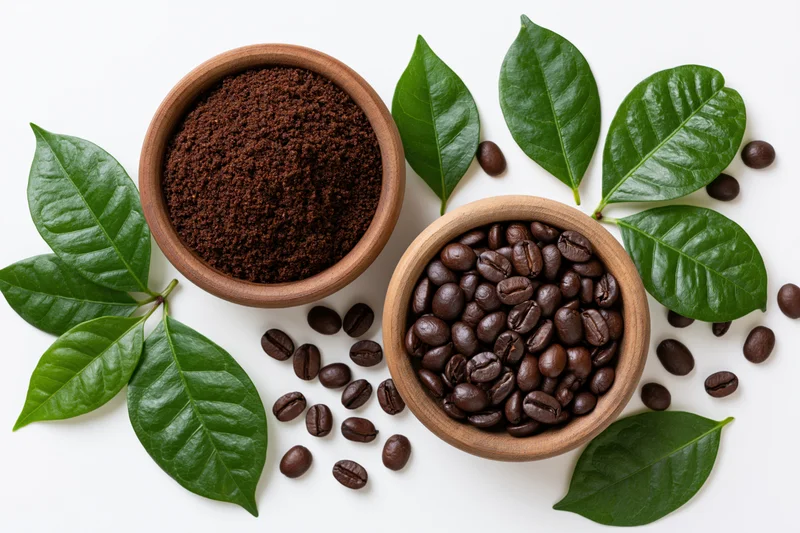 Coffee beans and ground coffee in wooden bowls with green leaves on white background