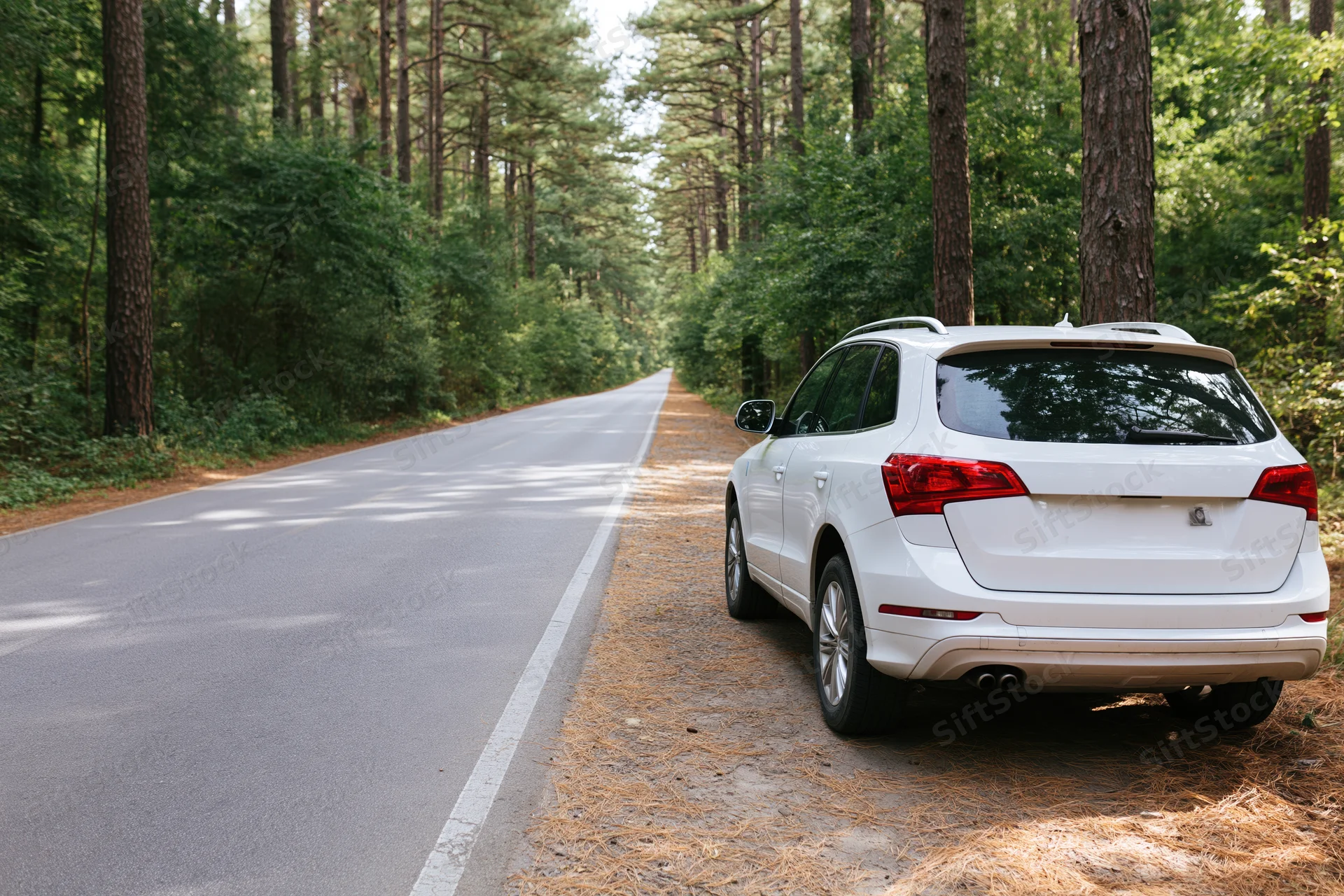 White suv parked on the shoulder of a forest road surrounded by pine trees