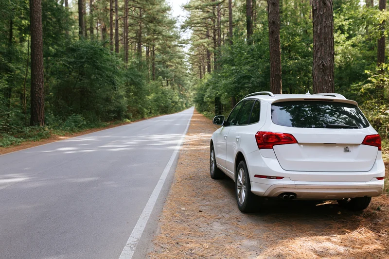White suv parked on the shoulder of a forest road surrounded by pine trees