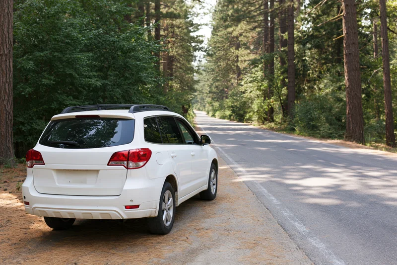 White suv parked on shoulder of straight two-lane road in forest