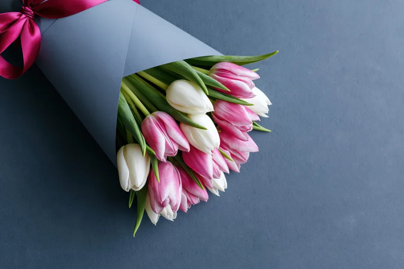 Bouquet of pink and white tulips wrapped in grey matte paper with pink ribbon on dark surface