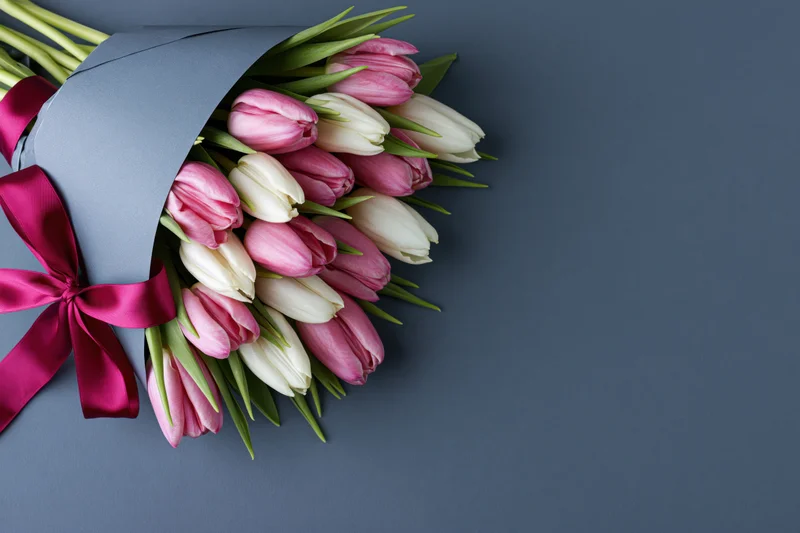 Bouquet of pink and white tulips wrapped in grey paper with red ribbon on dark surface